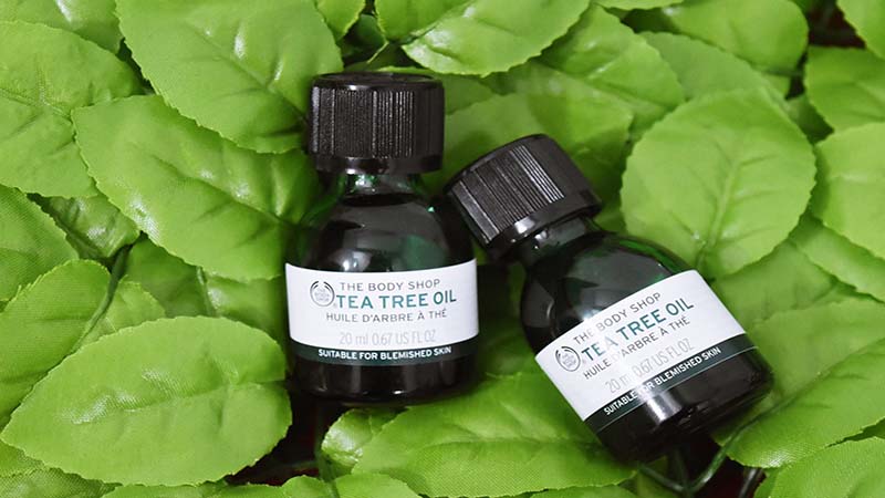 Serum trị mụn The Body Shop Tea Tree Oil
