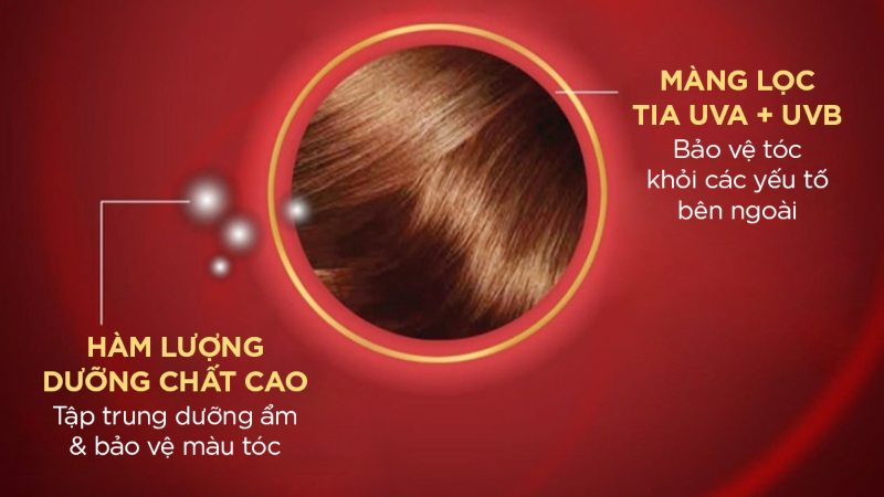 Thành phần của dầu gội L'Oréal Elseve giữ màu tóc nhuộm